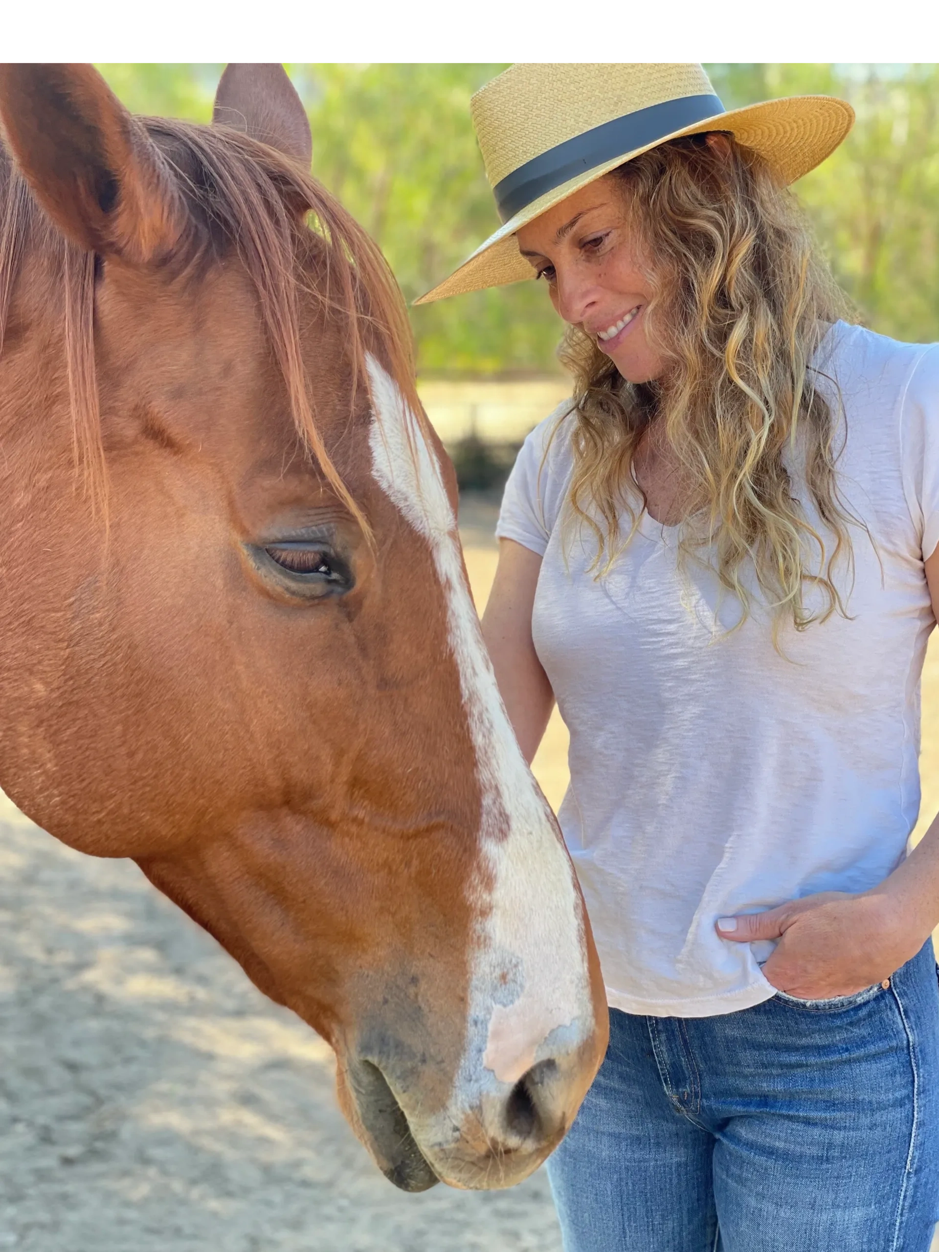 Practitioner with horses at the Halter + Harmony corral