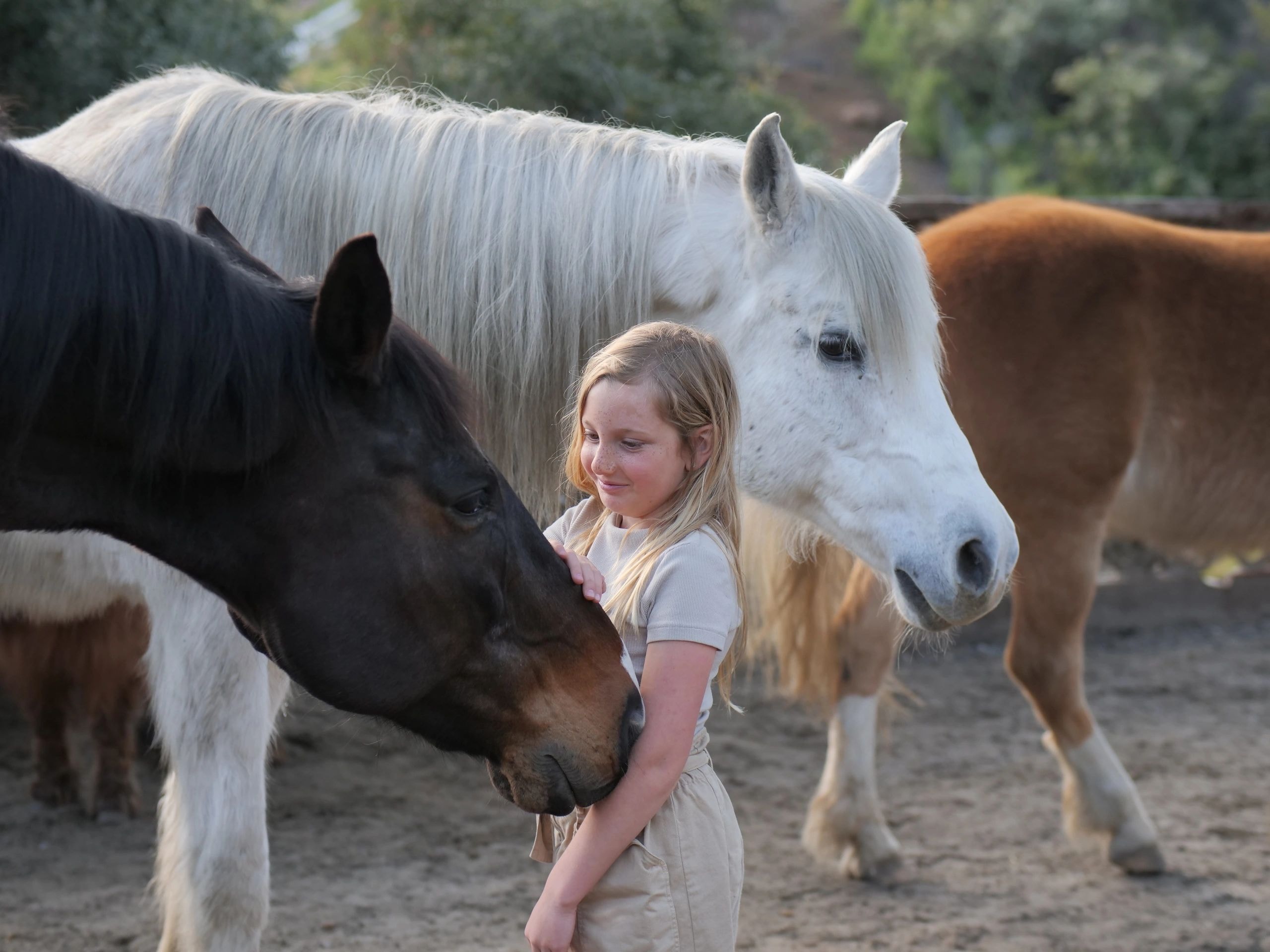 Woman connecting with a horse in a corral at Halter and Harmony